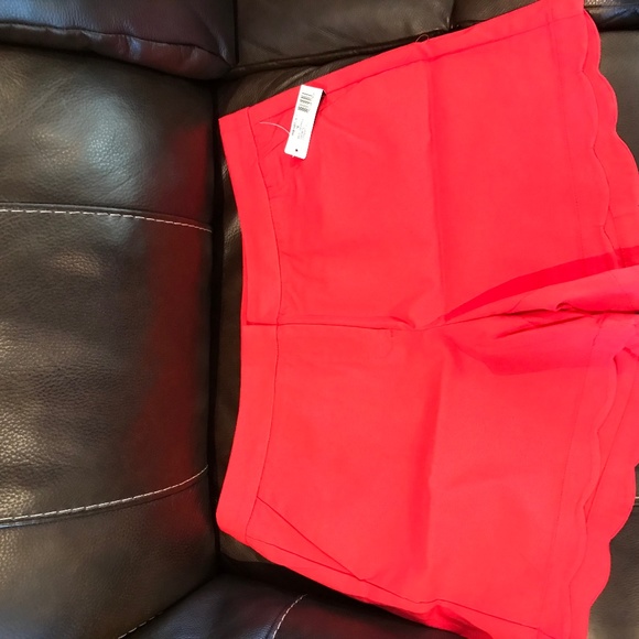 New Directions shorts, size 16, color: red pepper. - Picture 1 of 2